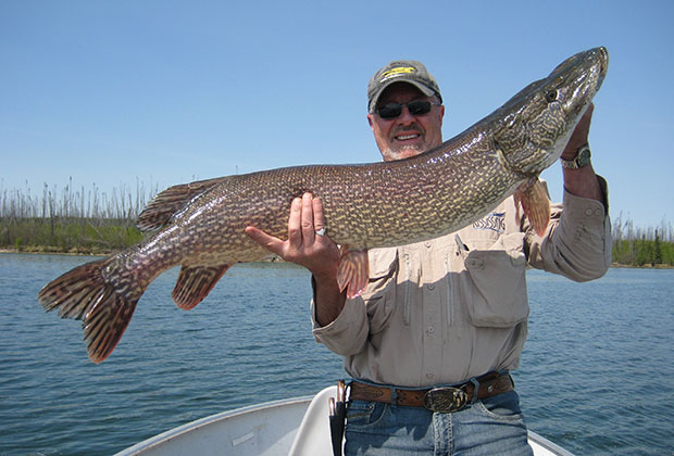 Northern Pike