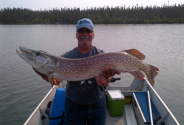 Northern Pike