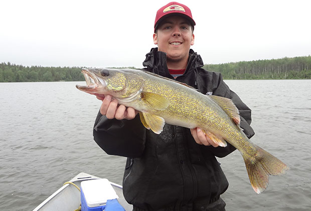 Walleye