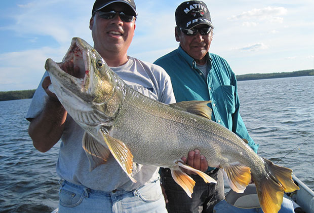 Lake Trout