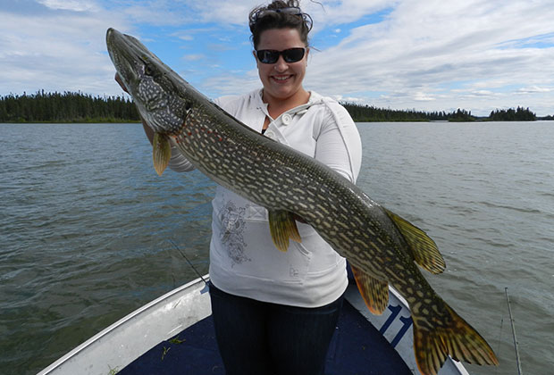 Northern Pike