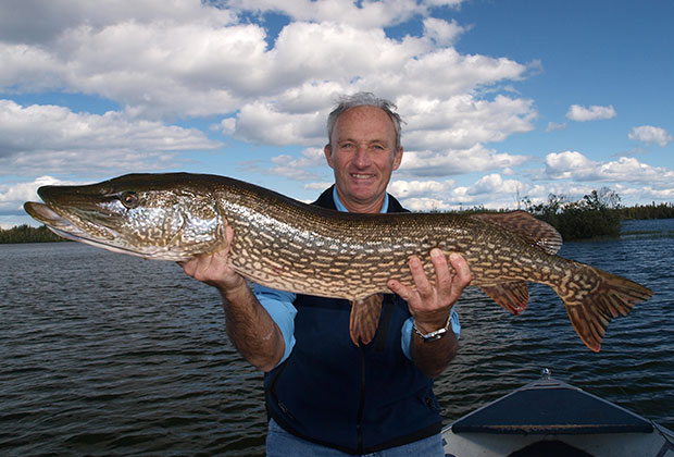 Northern Pike