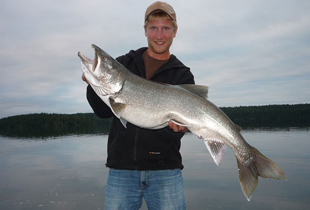 Walleye