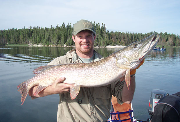 Northern Pike