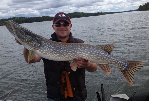 Northern Pike